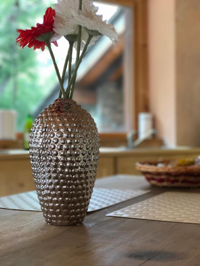 B&B Balancon Mountain Lodge 토르그논 외부 사진